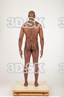 Body texture of Virgil 0045